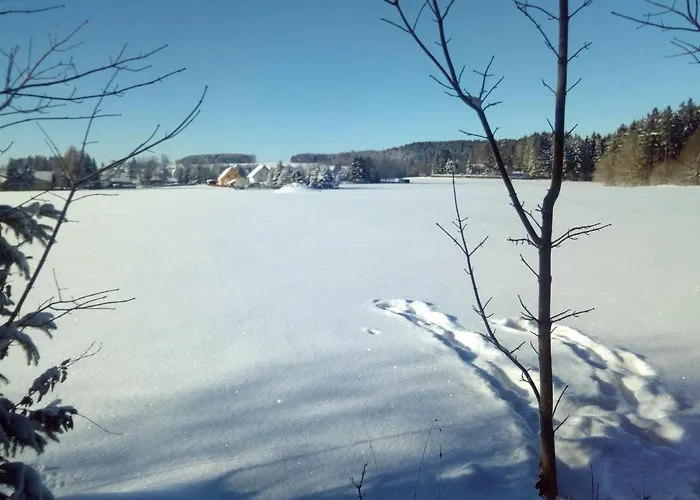 Cosy Apartment In Werda With Garden